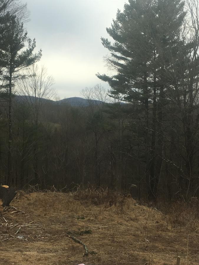 Cozy Cabin In The Catskills East Durham Eksteriør bilde